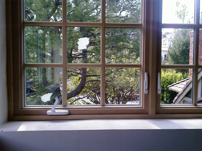 milgard-woodclad-brenthwood-ca-by-intex